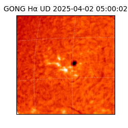 gong - 2025-04-02T05:00:02
