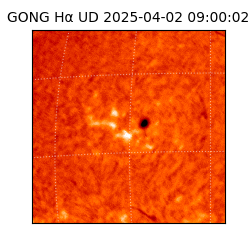 gong - 2025-04-02T09:00:02
