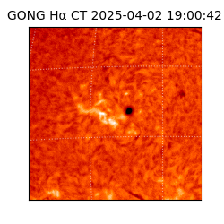 gong - 2025-04-02T19:00:42