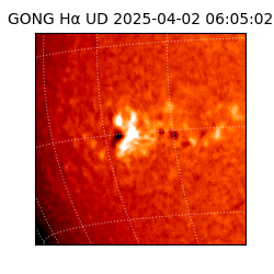 gong - 2025-04-02T06:05:02