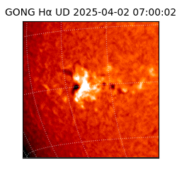 gong - 2025-04-02T07:00:02