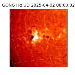 gong - 2025-04-02T08:00:02