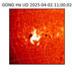 gong - 2025-04-02T11:00:02