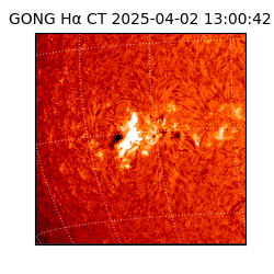 gong - 2025-04-02T13:00:42