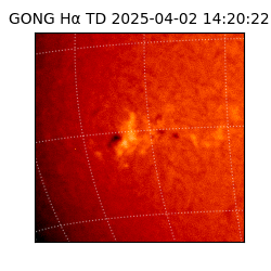 gong - 2025-04-02T14:20:22
