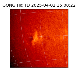 gong - 2025-04-02T15:00:22