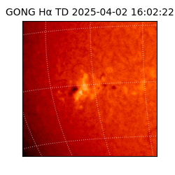 gong - 2025-04-02T16:02:22