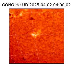 gong - 2025-04-02T04:00:02