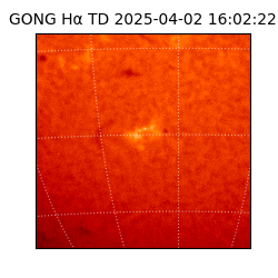 gong - 2025-04-02T16:02:22