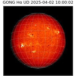gong - 2025-04-02T10:00:02