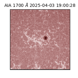 saia - 2025-04-03T19:00:28.710000