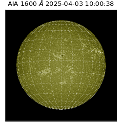 saia - 2025-04-03T10:00:38.126000