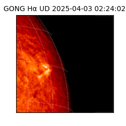 gong - 2025-04-03T02:24:02