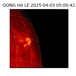 gong - 2025-04-03T05:00:42