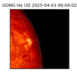 gong - 2025-04-03T06:04:02