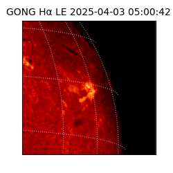 gong - 2025-04-03T05:00:42