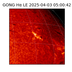 gong - 2025-04-03T05:00:42
