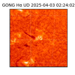 gong - 2025-04-03T02:24:02