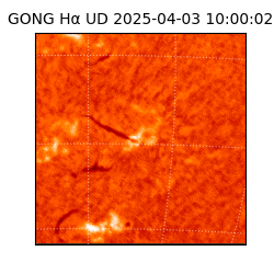 gong - 2025-04-03T10:00:02