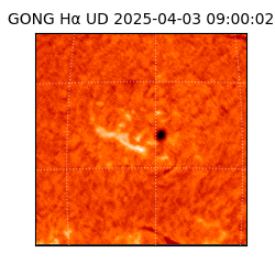 gong - 2025-04-03T09:00:02