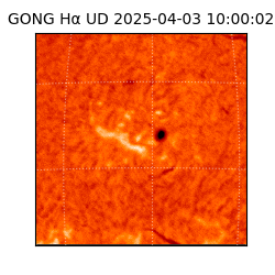 gong - 2025-04-03T10:00:02