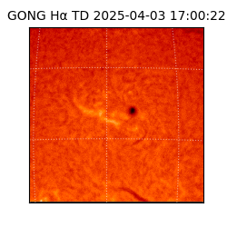 gong - 2025-04-03T17:00:22