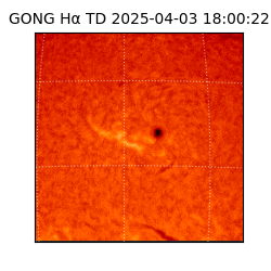 gong - 2025-04-03T18:00:22