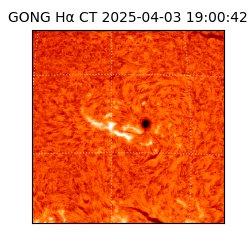 gong - 2025-04-03T19:00:42