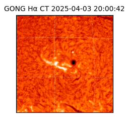 gong - 2025-04-03T20:00:42