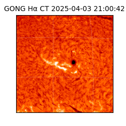 gong - 2025-04-03T21:00:42