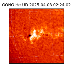 gong - 2025-04-03T02:24:02