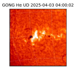 gong - 2025-04-03T04:00:02