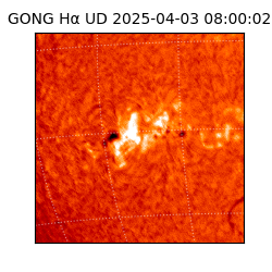 gong - 2025-04-03T08:00:02