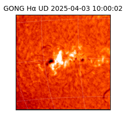 gong - 2025-04-03T10:00:02