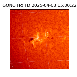 gong - 2025-04-03T15:00:22