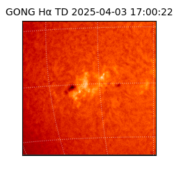 gong - 2025-04-03T17:00:22