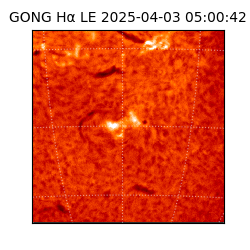 gong - 2025-04-03T05:00:42