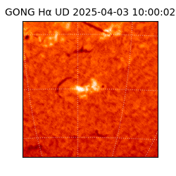 gong - 2025-04-03T10:00:02