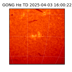 gong - 2025-04-03T16:00:22