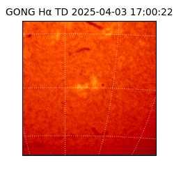 gong - 2025-04-03T17:00:22