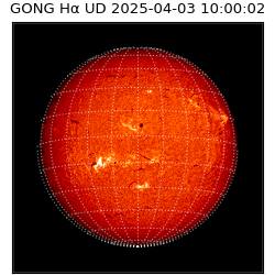 gong - 2025-04-03T10:00:02