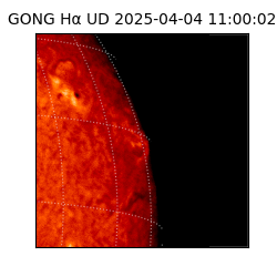 gong - 2025-04-04T11:00:02