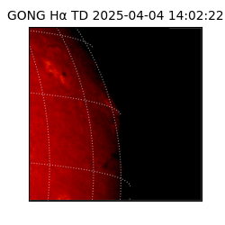 gong - 2025-04-04T14:02:22