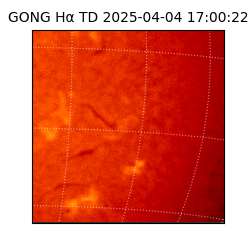 gong - 2025-04-04T17:00:22