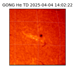 gong - 2025-04-04T14:02:22