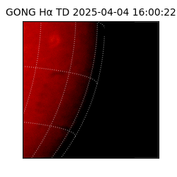gong - 2025-04-04T16:00:22