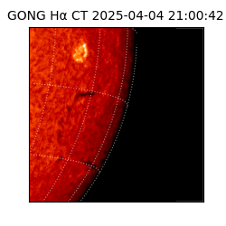 gong - 2025-04-04T21:00:42