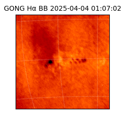 gong - 2025-04-04T01:07:02
