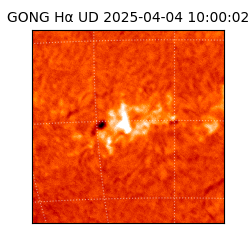 gong - 2025-04-04T10:00:02