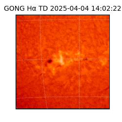 gong - 2025-04-04T14:02:22